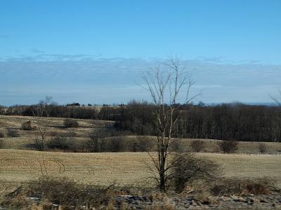 [Rolling fields of mowed corn with bare trees scattered throughout.]